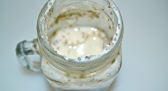 CHIA SEED PUDDING