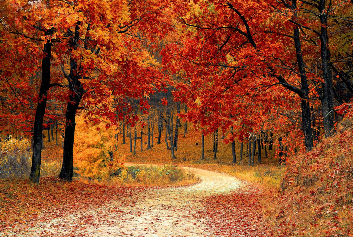 Screen Shot 2017 09 25 at 1.29.25 PM