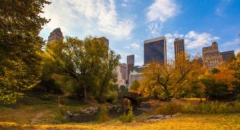 Your Guide to Getting The Most Out Of Fall In New York City