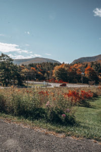 Catskills