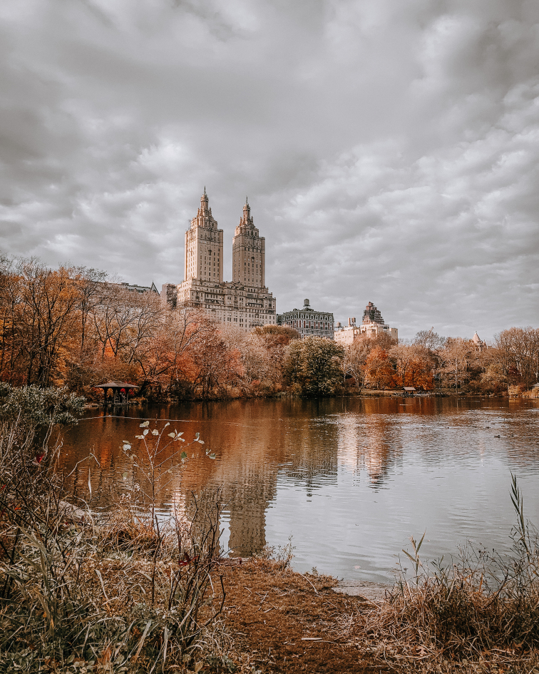 Central Park Fall 1