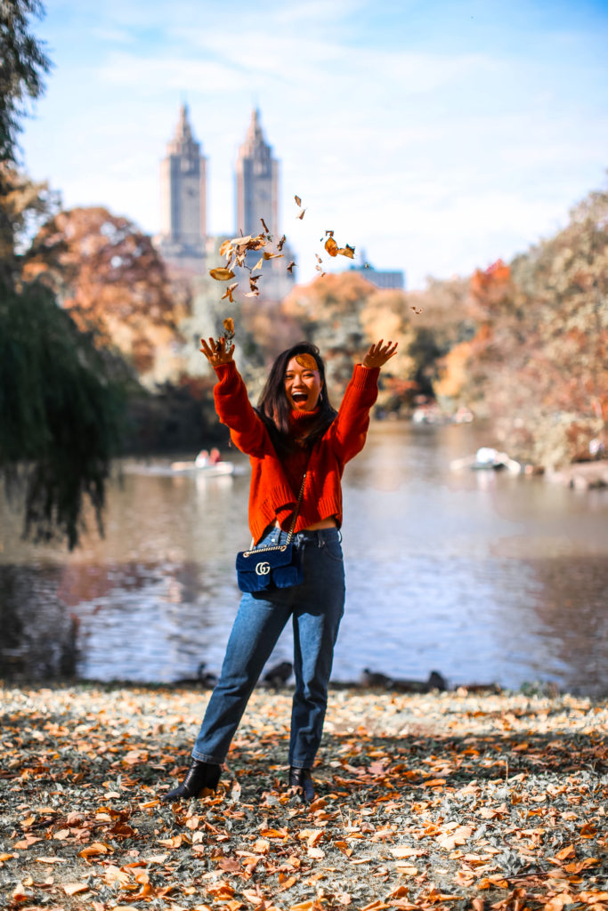 Central Park Falltime 1 scaled