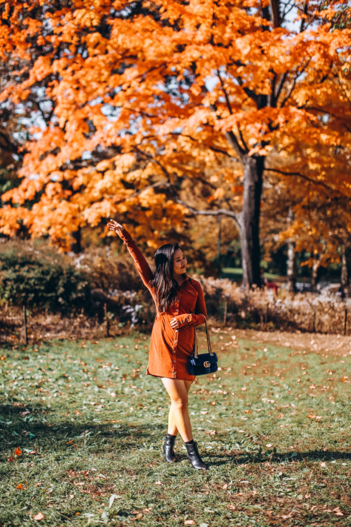 Central Park Leaves