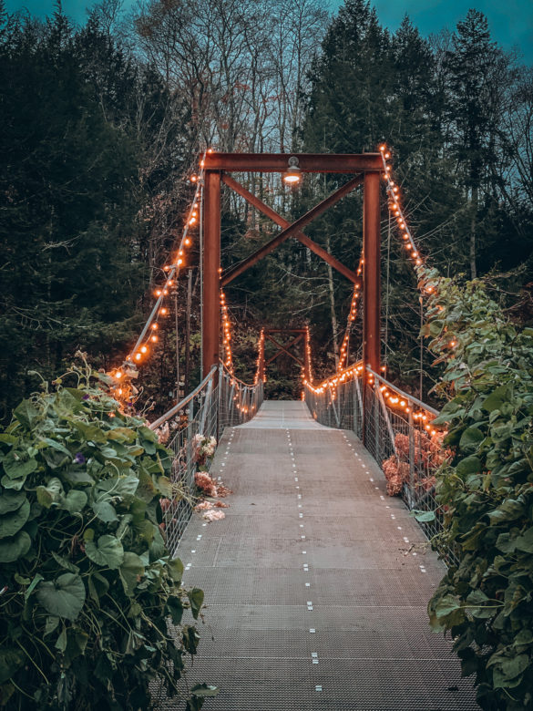 Antrim Streamside Bridge 1