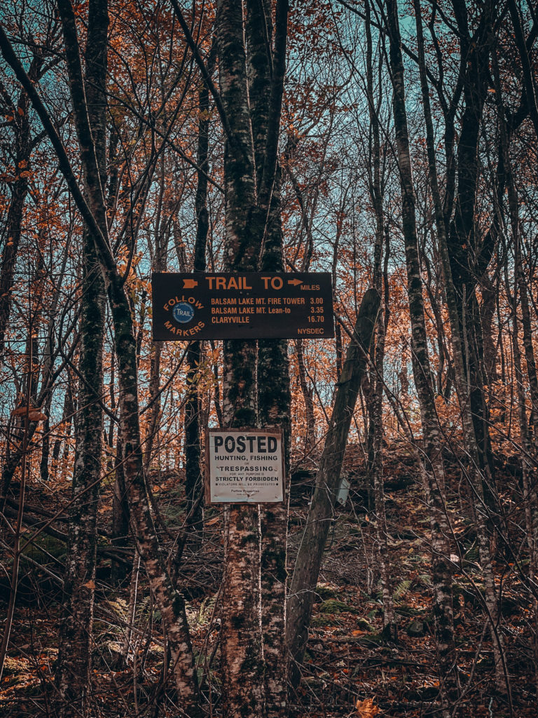 balsam mountain trail