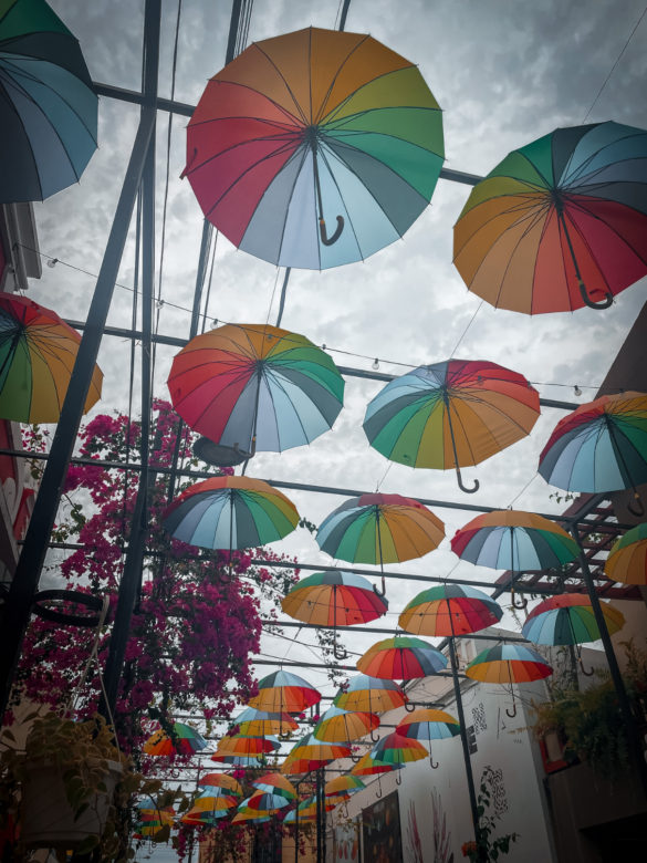 umbrella street DR