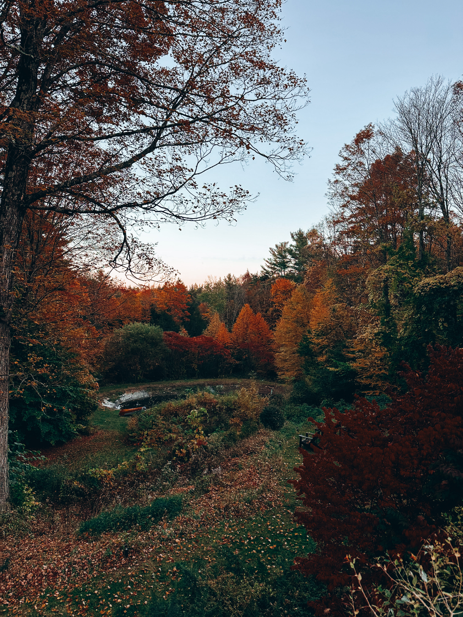 fall views