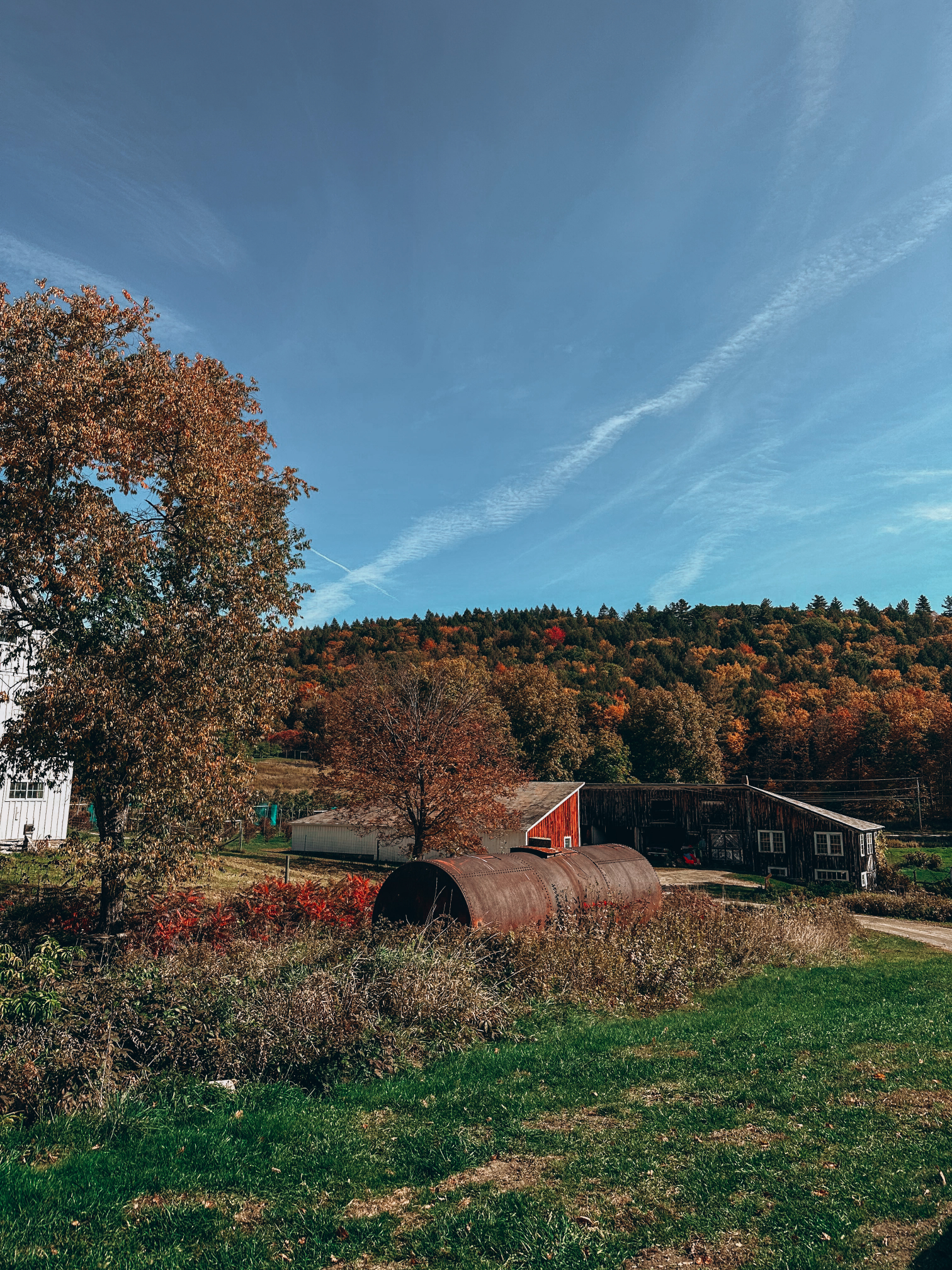 scott farm vt