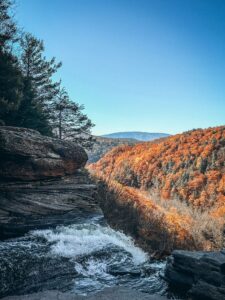 catskills