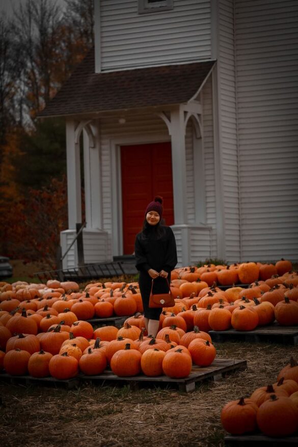 fall catskills