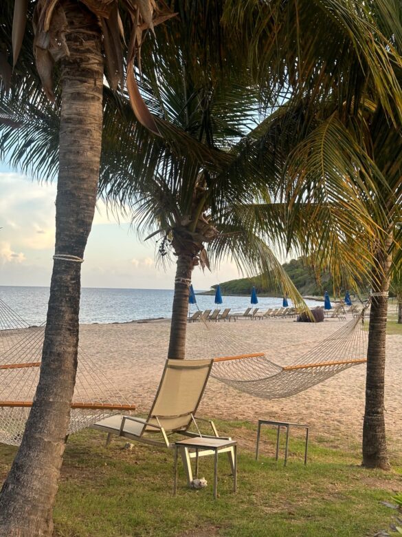 park hyatt st kitts hammock