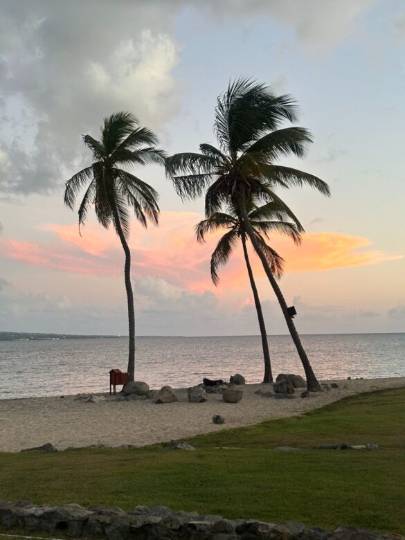 sunset on the beach